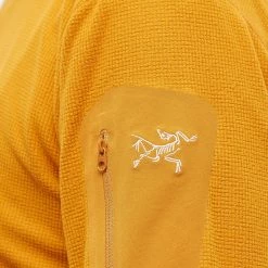 Arcteryx Arc'teryx Delta LT Waffle Half Zip Fleece -Vendite Pangaia 06 07 2022 NS 23137 RV 10 1